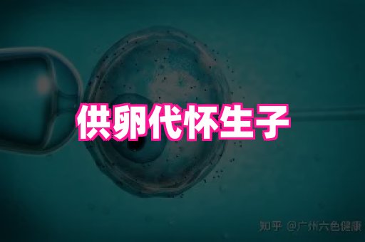 nub孕网 2