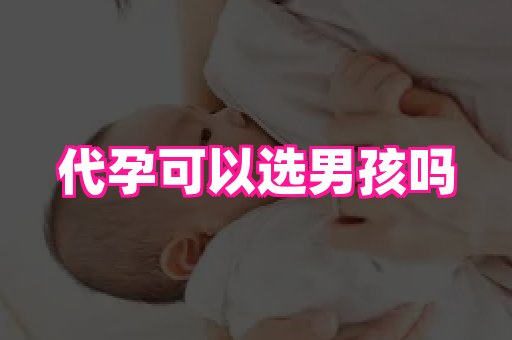 nub孕网 4